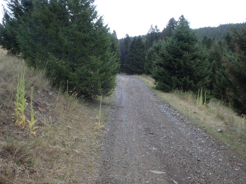 GDMBR: The mountain climbing was getting easier.